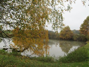 U rybníka na podzim