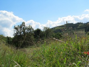 Jih - pohled do krajiny