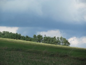 Západ - celkový pohled na západní stranu