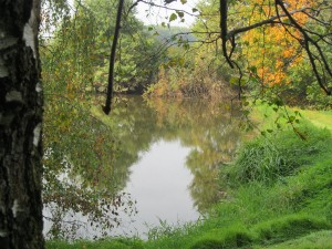 Anička
