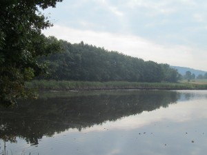 Renatka 