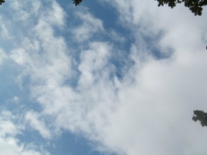 Rozárka