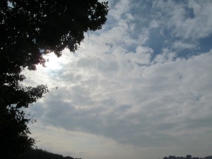 Verunka