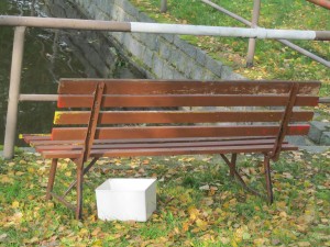 Anička