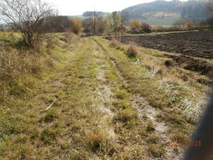 Jih - cesta na Radejšín