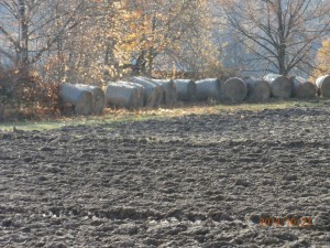 Jih - balíky slámy