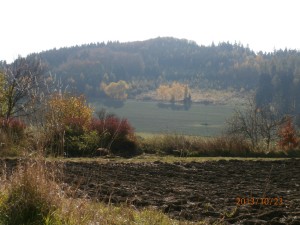 Jih - pohled z Radejšína