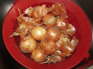 cibule