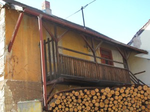 Vanišovi
