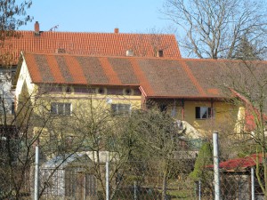 Bláhovi