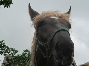 blonďatá Lenka