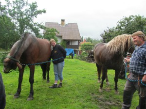 a hodné pány a spoustu lásky