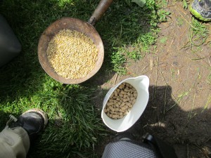 oves a granule