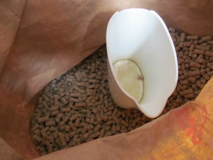 granule