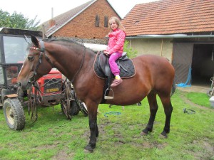Martinka