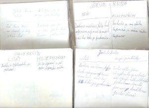 co nás zaujalo v textu o Krčínovi
