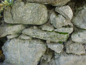 Pavla Břížďalová 4.r.