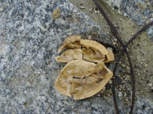 Pavla Břížďalová 4.r.