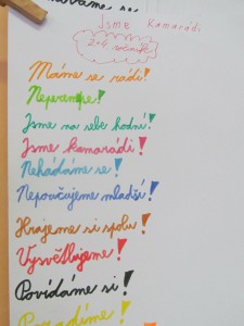 Vznikající pravidla