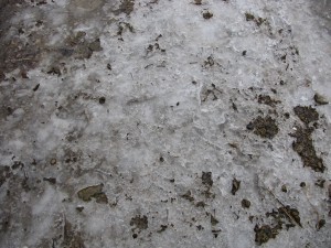 Anička