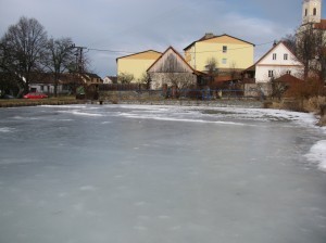 David Záhora,