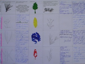 pracovní list Př-Vv