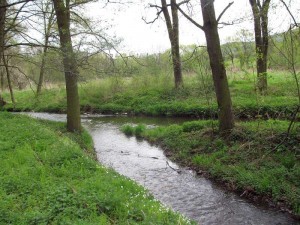 Květen